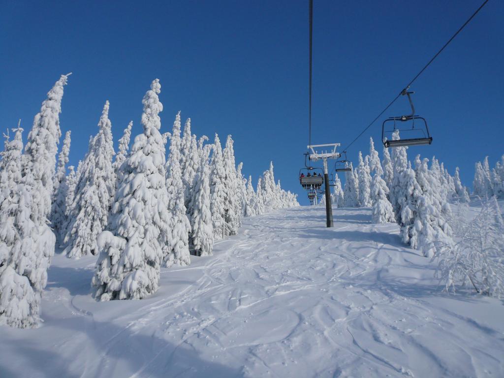 penzion Podlesí Kořenov Exterior foto